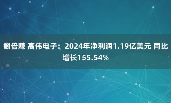 翻倍赚 高伟电子：2024年净利润1.19亿美元 同比增长155.54%