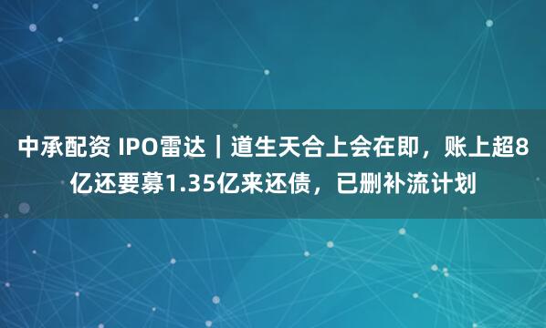 中承配资 IPO雷达｜道生天合上会在即，账上超8亿还要募1.35亿来还债，已删补流计划