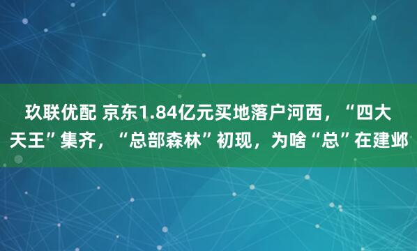 玖联优配 京东1.84亿元买地落户河西，“四大天王”集齐，“总部森林”初现，为啥“总”在建邺