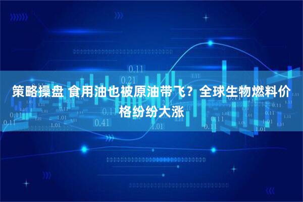 策略操盘 食用油也被原油带飞？全球生物燃料价格纷纷大涨