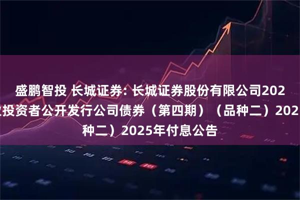 盛鹏智投 长城证券: 长城证券股份有限公司2023年面向专业投资者公开发行公司债券（第四期）（品种二）2025年付息公告