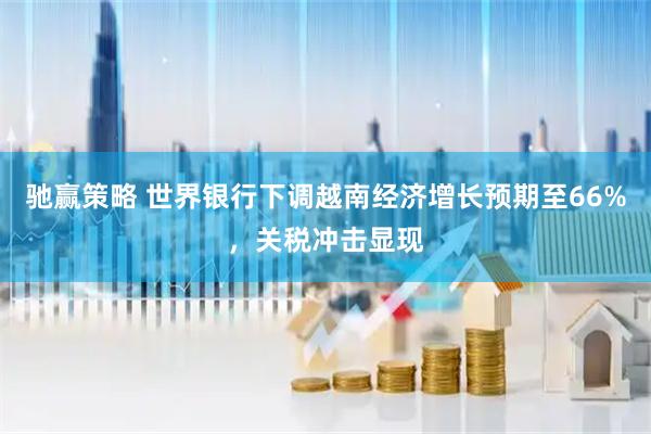 驰赢策略 世界银行下调越南经济增长预期至66%，关税冲击显现